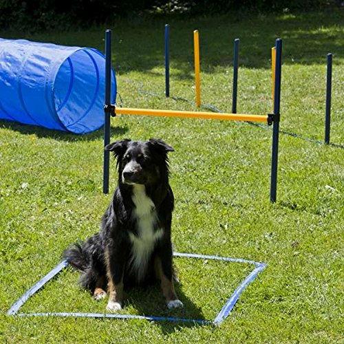 Produktbild Petcenter XXL Agility Set - 1 Tunnel 60x152 cm, 8 Slalomstangen, 2 Sprünge, 1 Boxband (One Size, Agility)