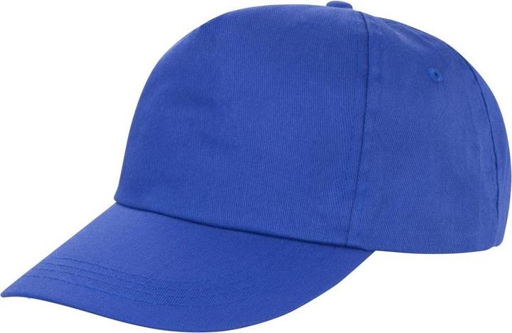 Bleu roi