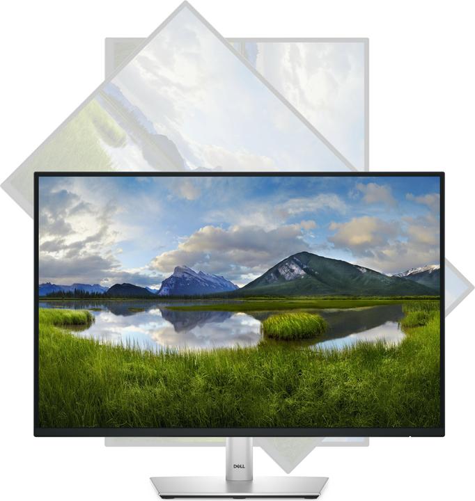 Actual product image Dell P2425 (1920 x 1200 pixels, 24.07")
