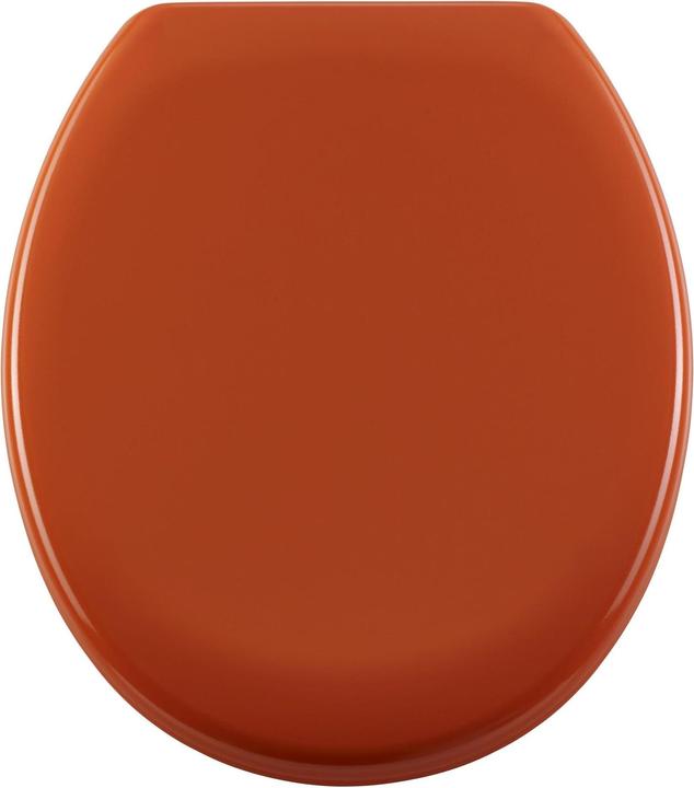 Actual product image Diaqua Colors