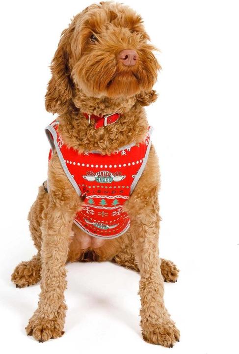 Actual product image Friends Dog pyjamas Central Perk Christmas design (L, Dog coat)
