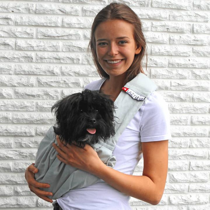 Actual product image 4Lazylegs Animal Transport Bag Canvas, Mineral Grey, XS (Dog, Washable)