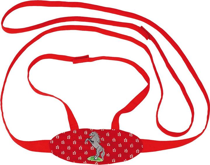 Actual product image Goki Horse harness for children
