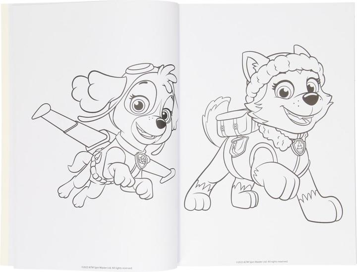 Actual product image Wins Holland PAW Patrol colouring book, 128 pages.