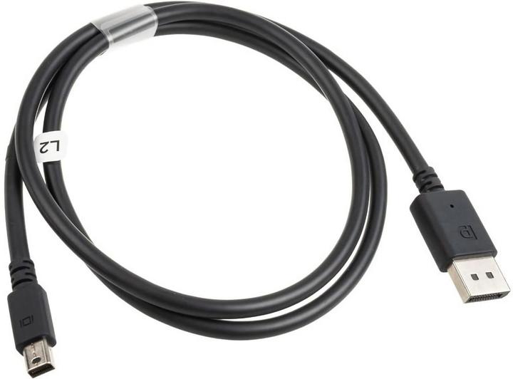 Actual product image HTC Cable DisplayPort Mini - DisplayPort 1m black (GAVR-053)