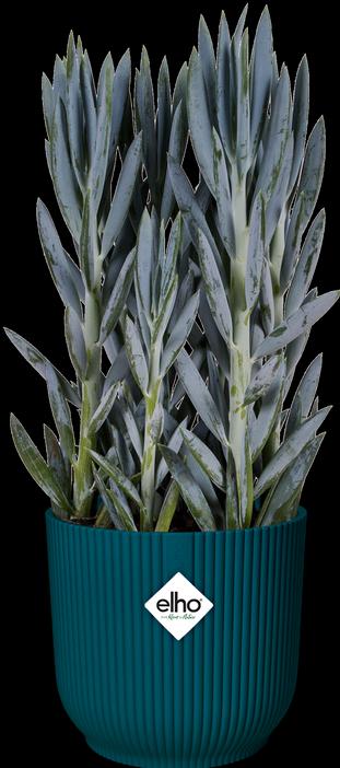 Produktbild Elho Vibes (25 cm)
