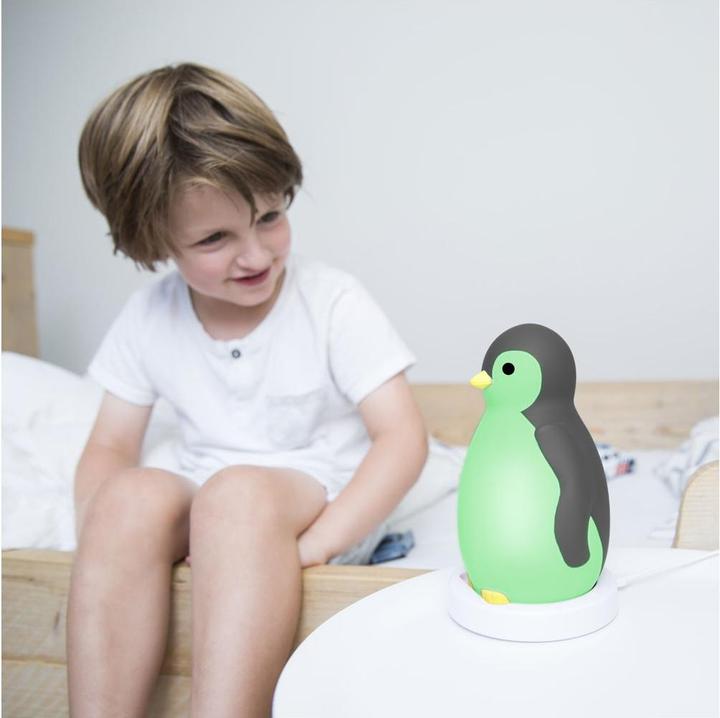 Actual product image ZaZu Sleep aid Pam