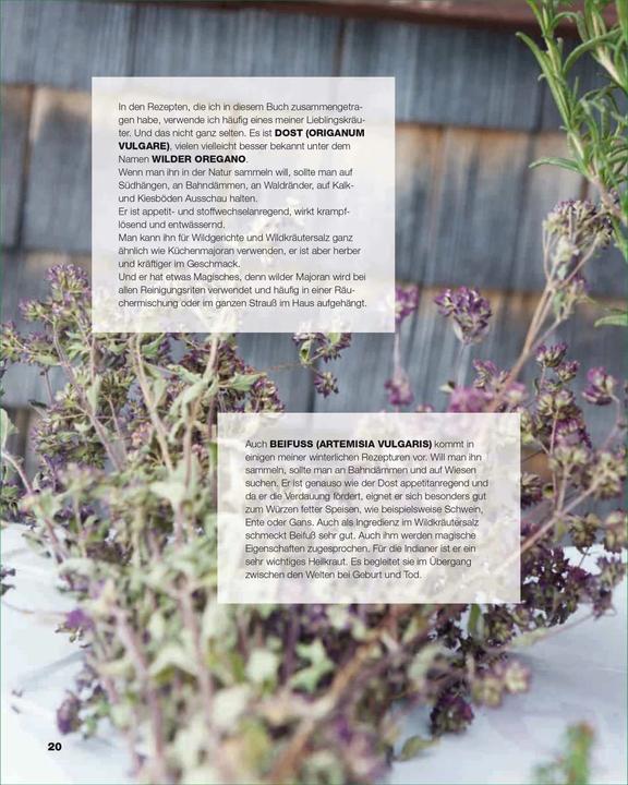 Actual product image Wintergrillen (German, Tom Heinzle, 2013)