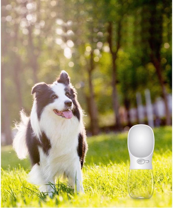 Actual product image FTM Water bottle (0.35 l)