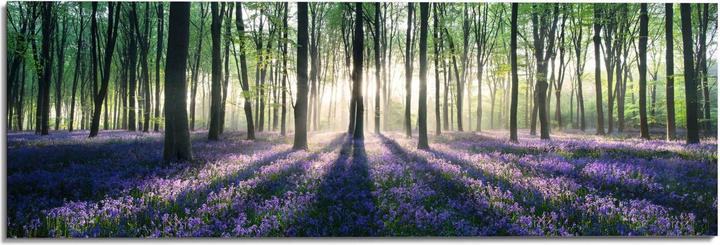 Eibert Visual Enchanted Forest (156 x 52 cm)
