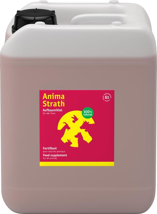 Actual product image Anima-Strath liquid, 5L + (Adult, 1 pcs., 6842 g)