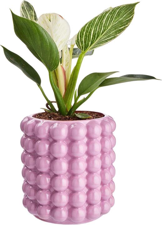 Actual product image home24 Bubble (14.50 cm)