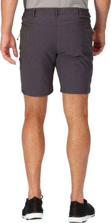 Image du produit Regatta - Short de marche HIGHTON - Homme (44 D)