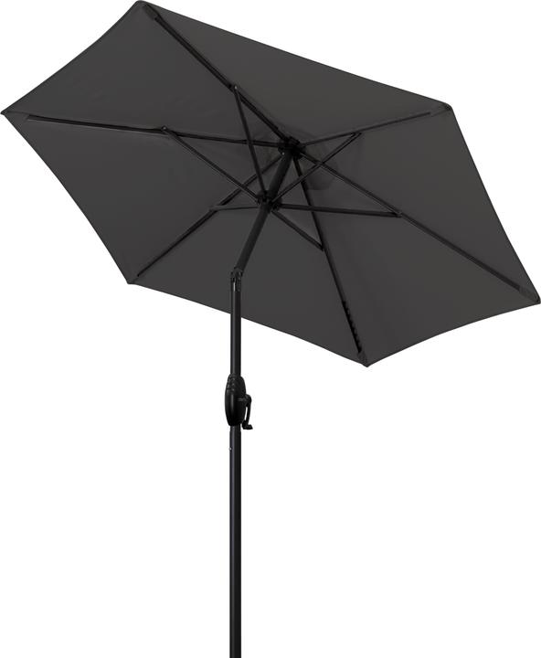 Image du produit Derby Basic Lift Neo (1.80 m)