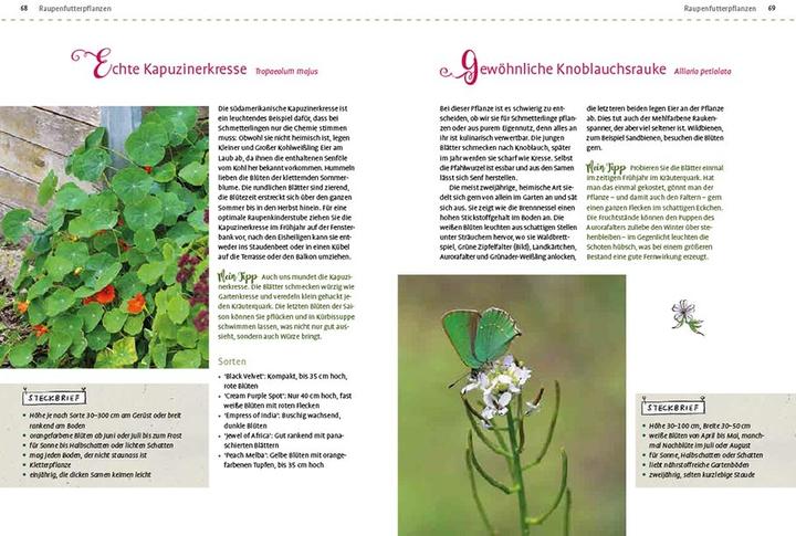 Produktbild Mein Schmetterlingsgarten (Deutsch, Elke Schwarzer, 2022)
