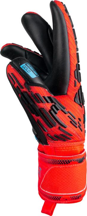 Produktbild Reusch Attrakt Freegel Gold Finger Support Torwarthandschuh (8)