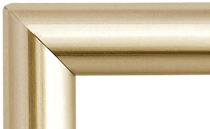 Actual product image Dufco clip-on picture frame (50 x 70 cm)