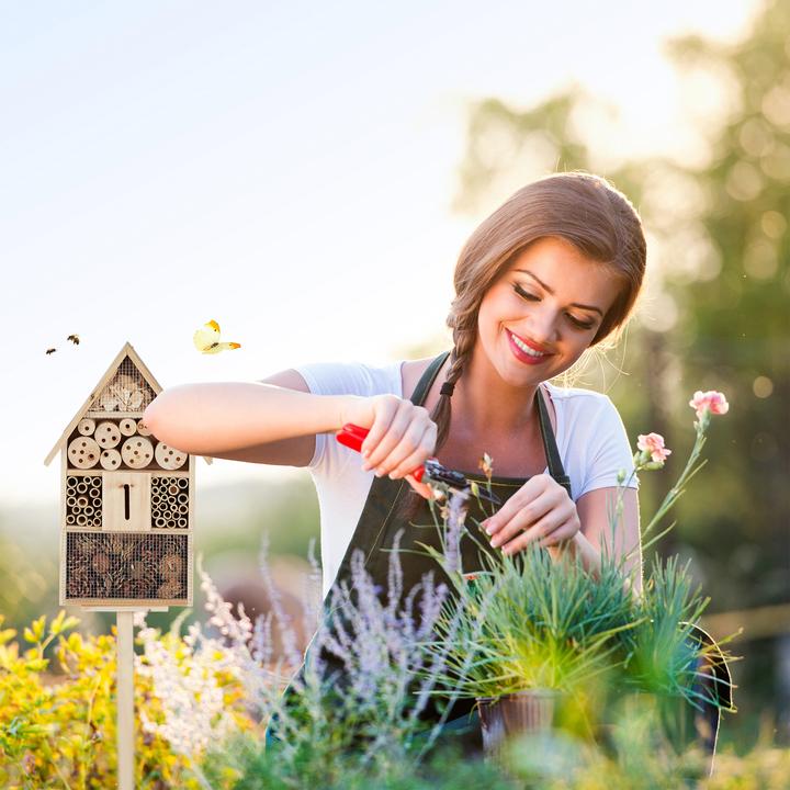 Productafbeelding Relaxdays Insectenhotel (Kantenvleugel, Bijen, Lieveheersbeestje)