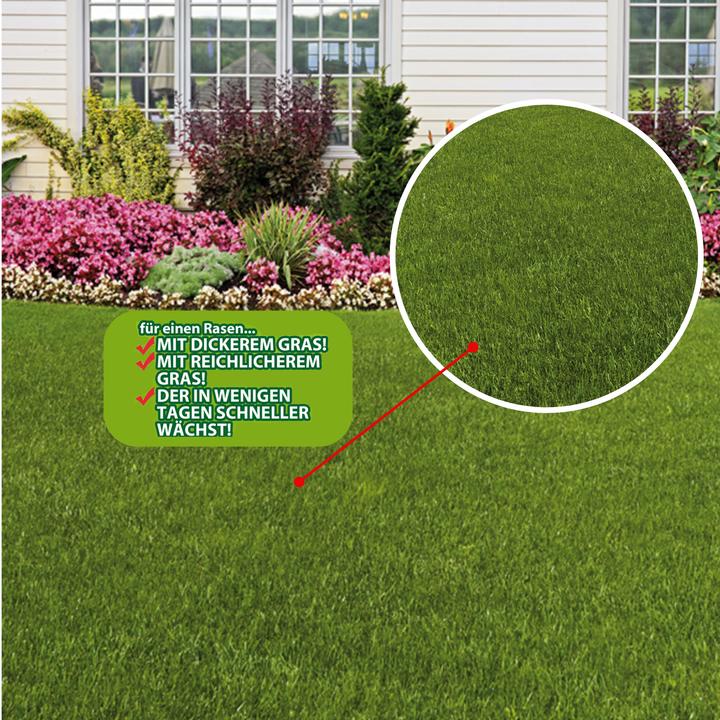 Actual product image Best direct Avant Grazz