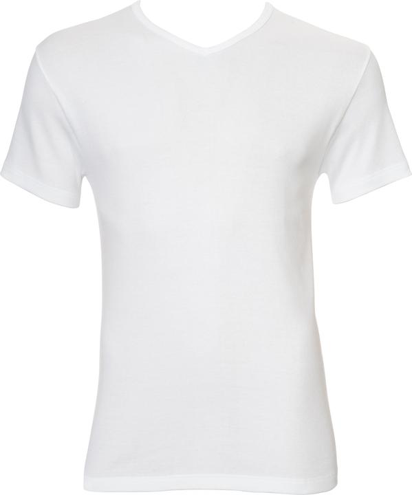 Actual product image Calida Cotton 1:1 (L)