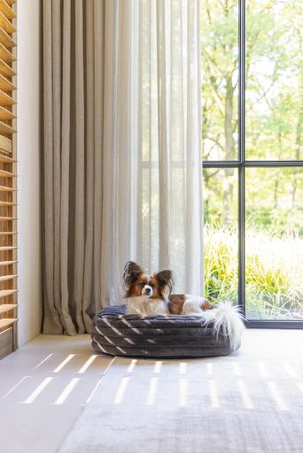 Productafbeelding Designed by Lotte Reza ligkussen (Hond)