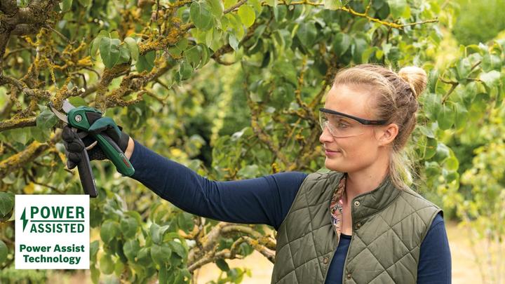 Immagine prodotto Bosch Home & Garden EasyPrune