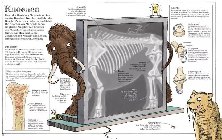 Produktbild Das Mammut-Buch Naturwissenschaften (Deutsch, David Macaulay, 2021)