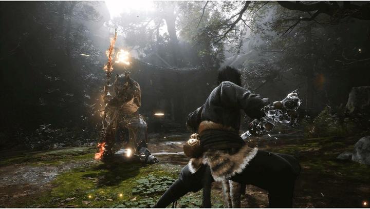 Actual product image Game Science Black Myth: Wukong (PS5, DE)
