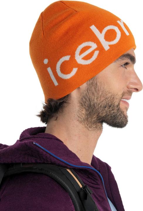 Produktbild Icebreaker U Mer Beanie (One Size)