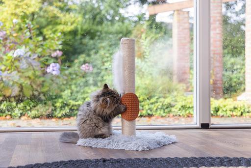 Image du produit Beeztees Pflegehandschuh (Chat)
