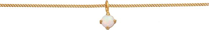 Actual product image Elli Choker (Synthetic Opal, 925 Sterling silver gold-plated, 36 cm)