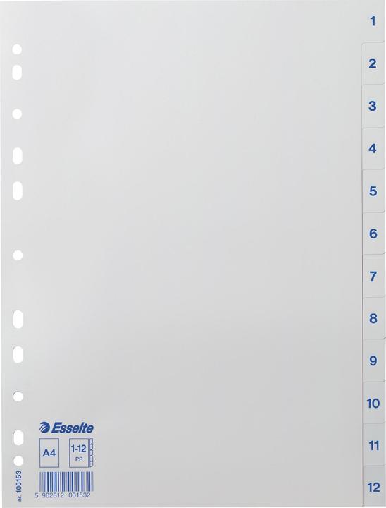 Actual product image Leitz Esselte plastic registers, numbers, A4, 1-12, white universal perforation, dimensions: (W)225 x