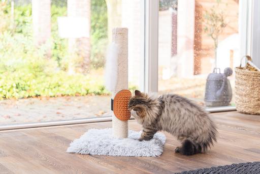 Image du produit Beeztees Pflegehandschuh (Chat)