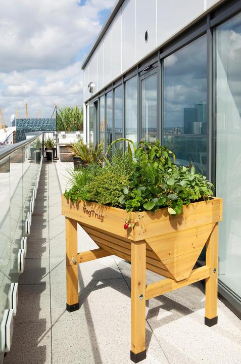 Immagine prodotto VegTrug Abbeveratoio per piante
