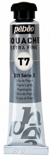 Paynes grigio