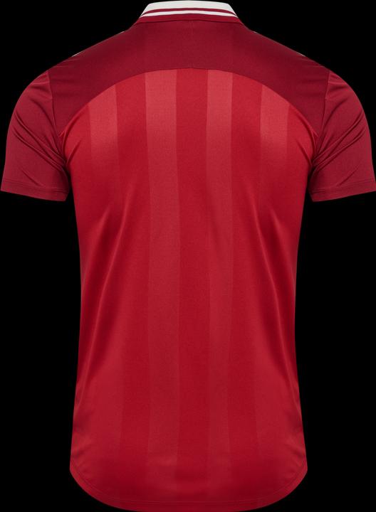 Actual product image hummel Dänemark Trikot für die Frauen EM (XL)