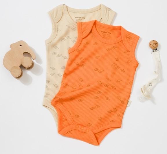 Stone, Apricot