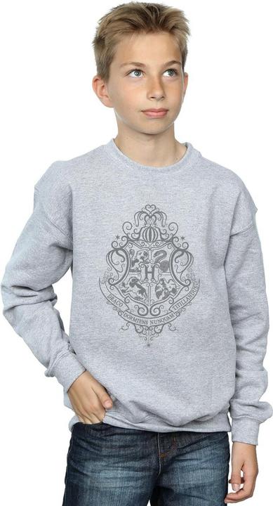 Actual product image Boys Hogwarts Draco Dormiens Crest Sweatshirt (116)