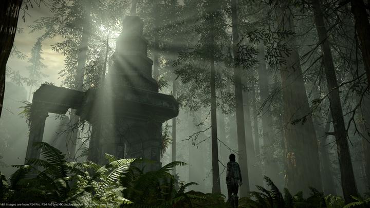 Produktbild Sony Shadow of the Colossus (PS4, DE)