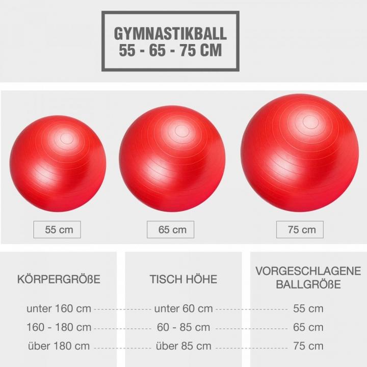 Produktbild Gorilla Sports Gymnastikball 355 (65 cm)