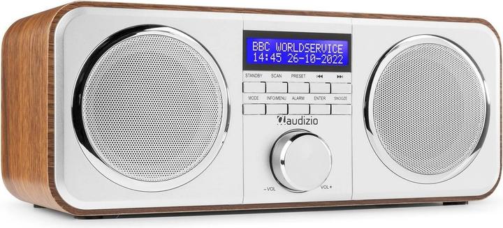 Actual product image Audizio Novara Silber (FM, DAB+)
