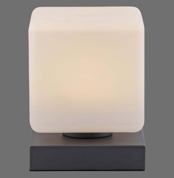 Produktbild Paul Neuhaus Dadoa (580 lm)