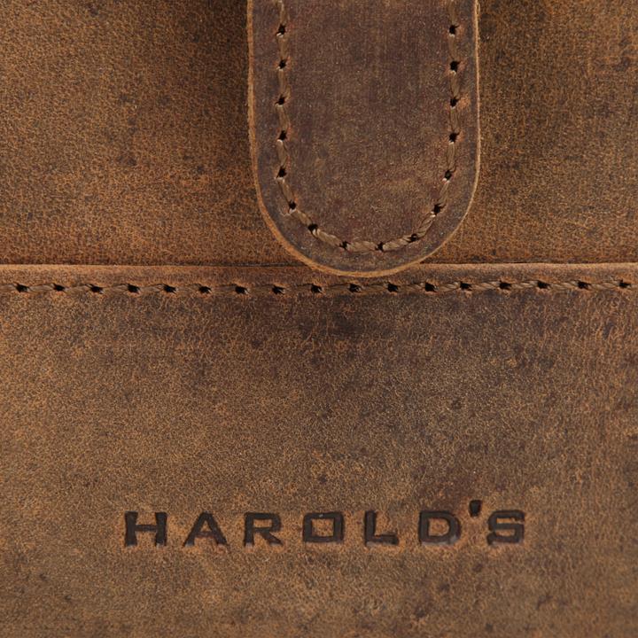 Actual product image Harolds Aktentasche ANTIC