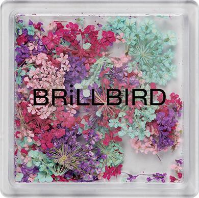 Produktbild BrillBird Floral Art Mix - Twilight (Twilight, Farblack)