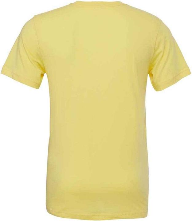 Actual product image Bella Canvas Adults Unisex Crew Neck T-Shirt (L)