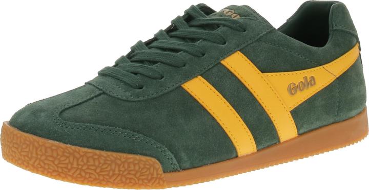 Sole, Sempreverde