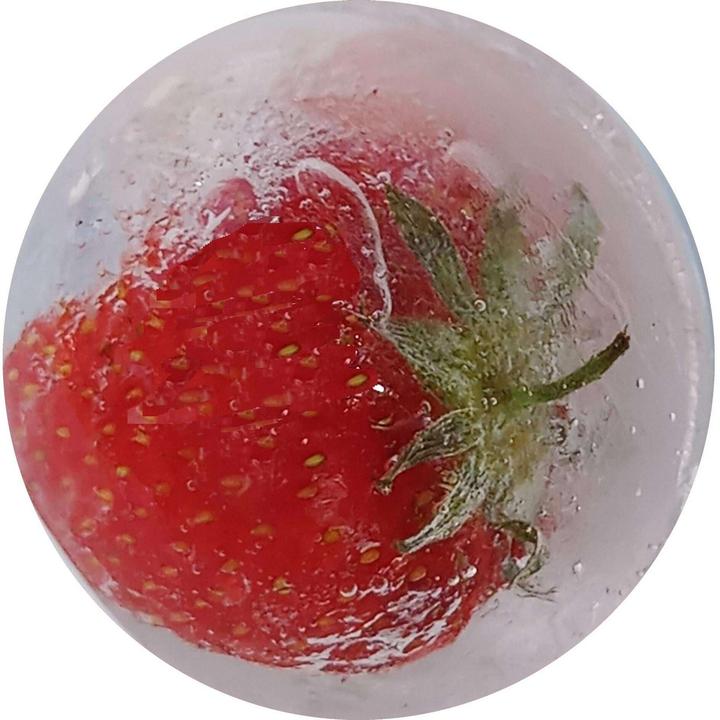 Actual product image Golyo Ice Ice mould
