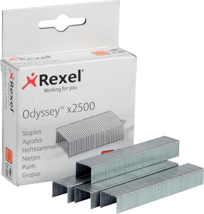Image du produit Rexel Agrafes (2500 x)