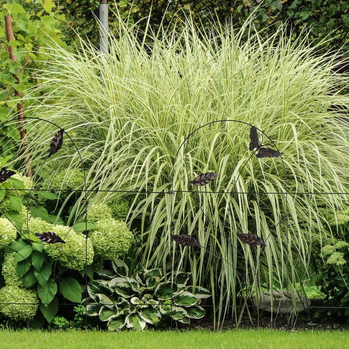 Produktbild Relaxdays Beetzaun 5tlg. (250 cm)
