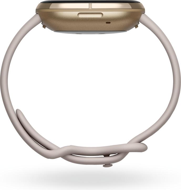 Immagine prodotto Fitbit Senso (40.48 mm)